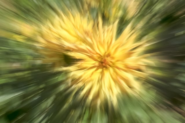 Blumenpoesie durch ICM-Kamerabewegung