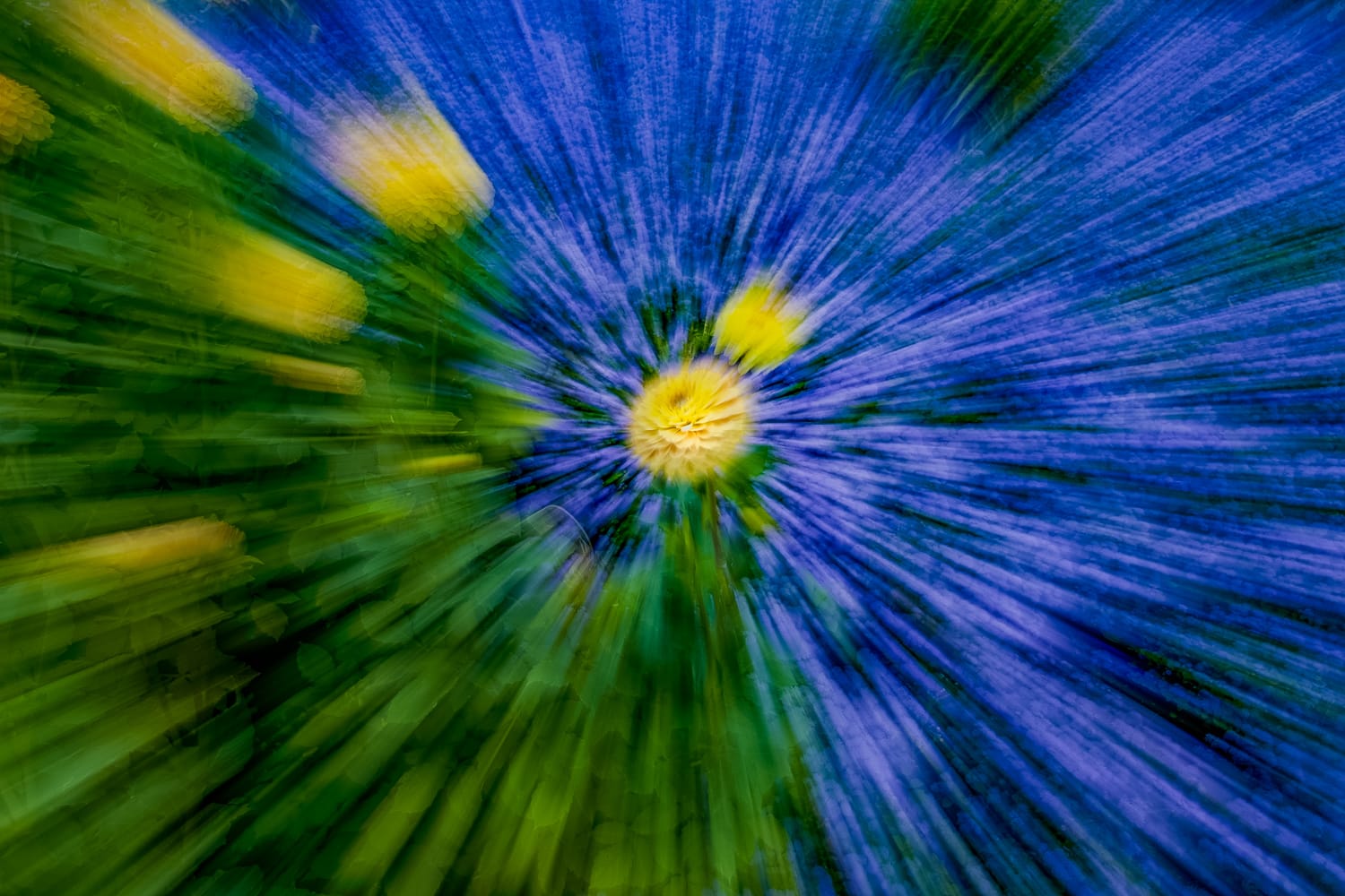 ICM- Blumenfotografie durch Bewegung