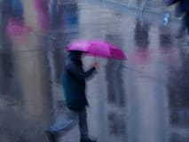 Spiegelung in Regenpfütze